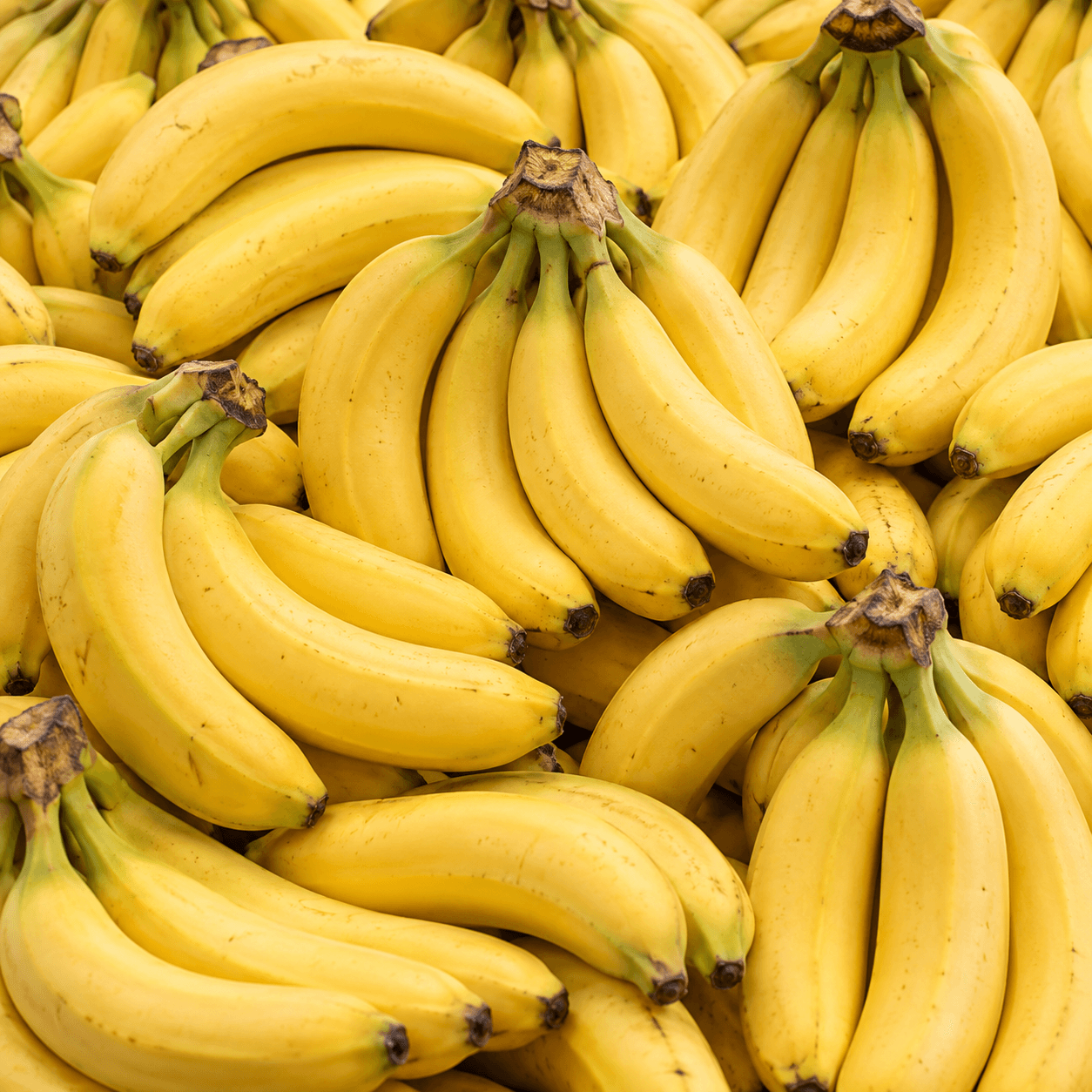 Saging (lakatan)