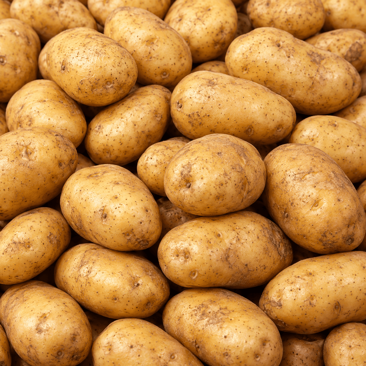 Potato