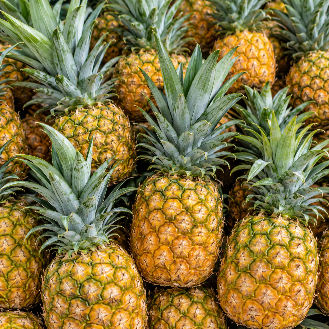 Pineapple