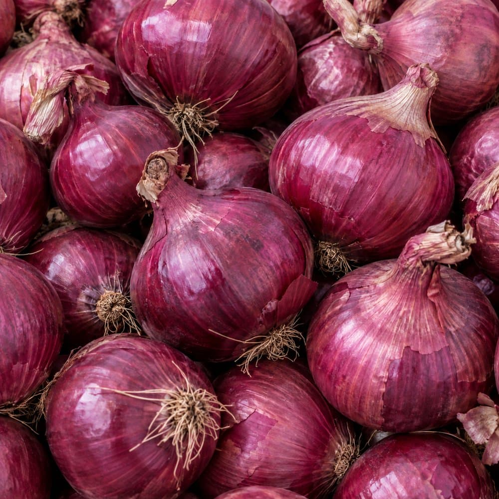Onion